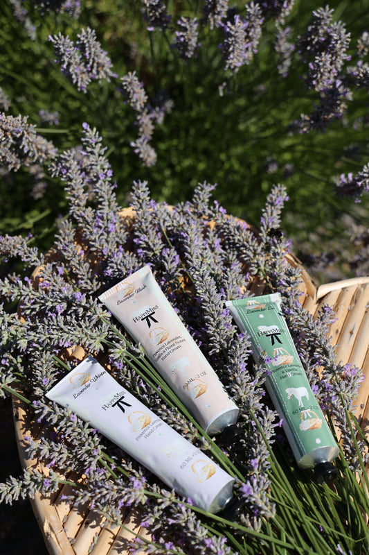 HappiMiss Lotion Tube