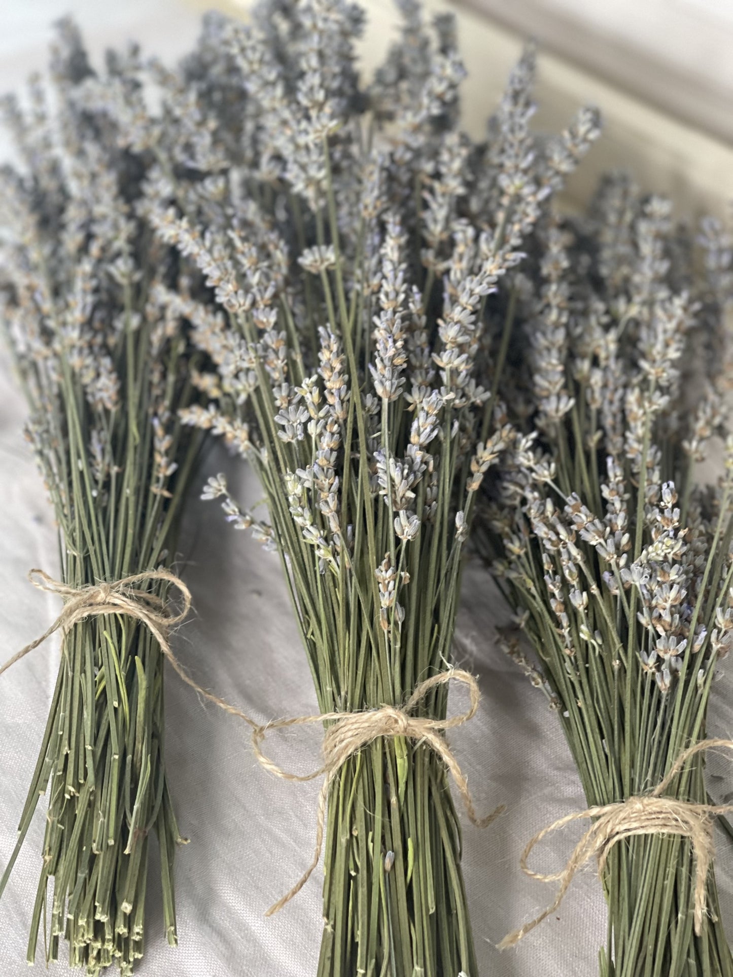 Lavender Sachet - a touch of Provence in a blush velvet bag