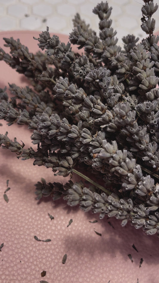 Lavender Bundle
