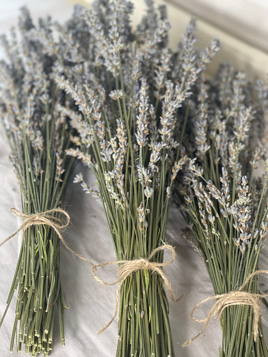 Lavender Bundle